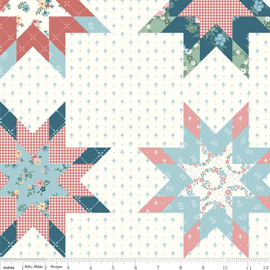 Fabric Riley Blake Mary Catherine Cheater Print by the Quarter Yard C16709-MULTI