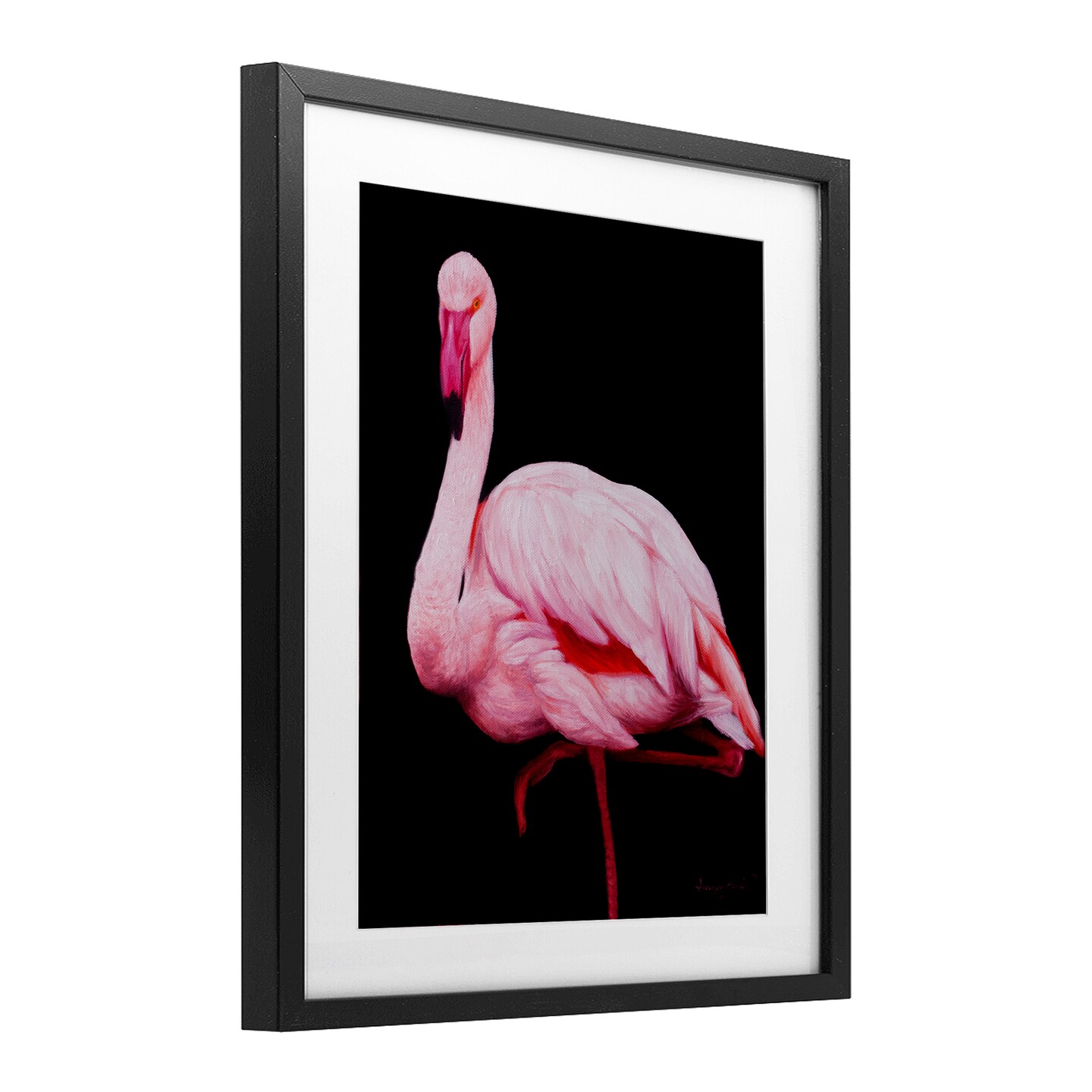 Stupell Industries Contrasting Flamingo on Black Framed Print Under Glass, design by James Corwin
