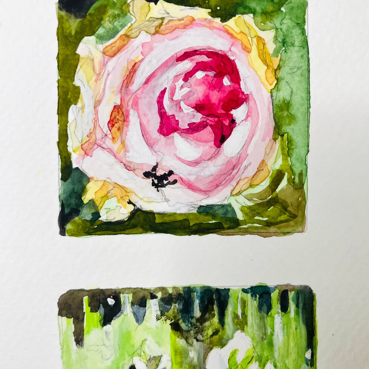 30 Watercolor Flower Studies for Painting Practice, Part II