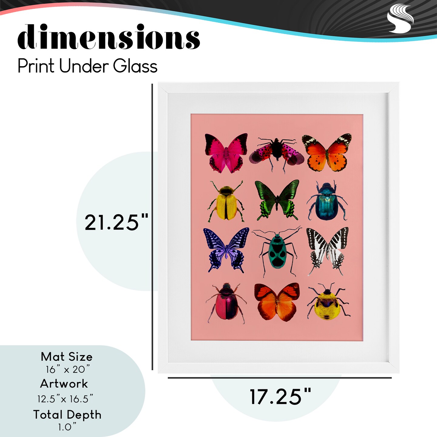 Stupell Industries Colorful Bug Species on Pink Framed Print Under Glass, design by LISH Creative