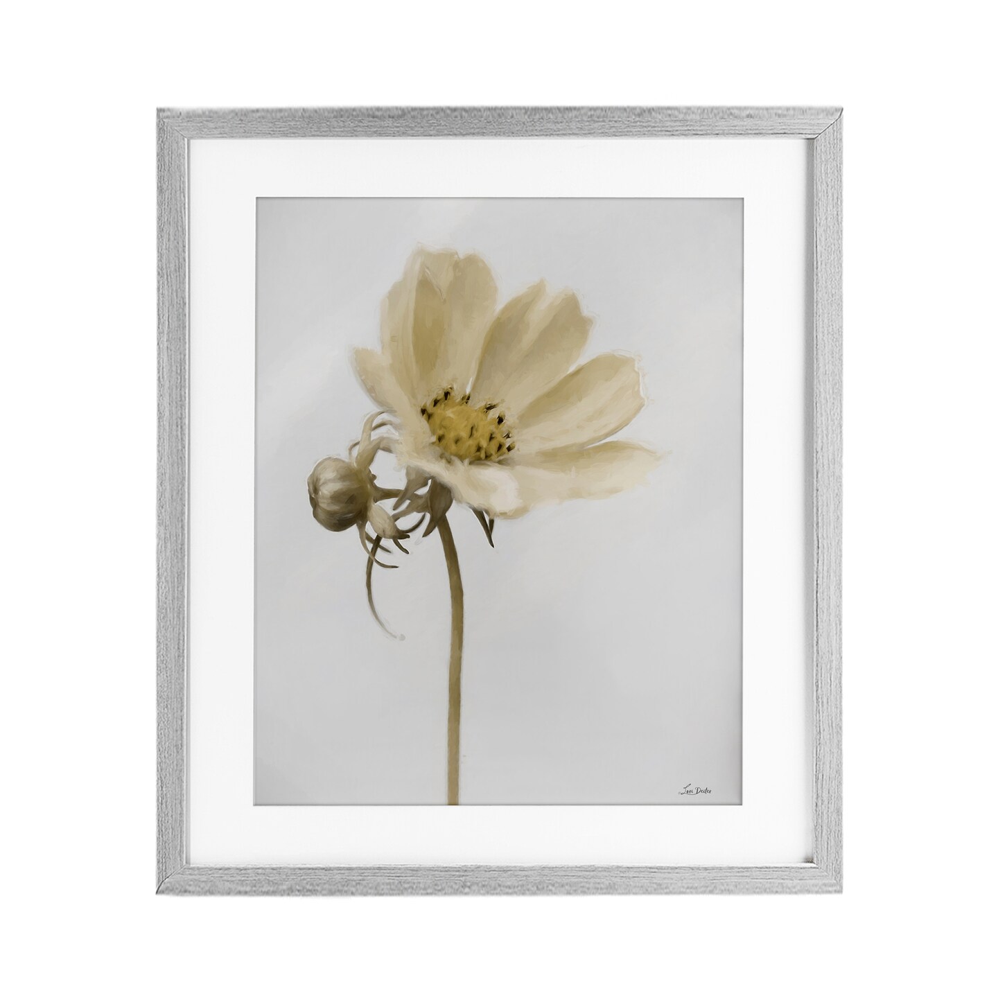 Stupell Industries Simple Beauty Soft Flower Framed Print Under Glass, design by Lori Deiter