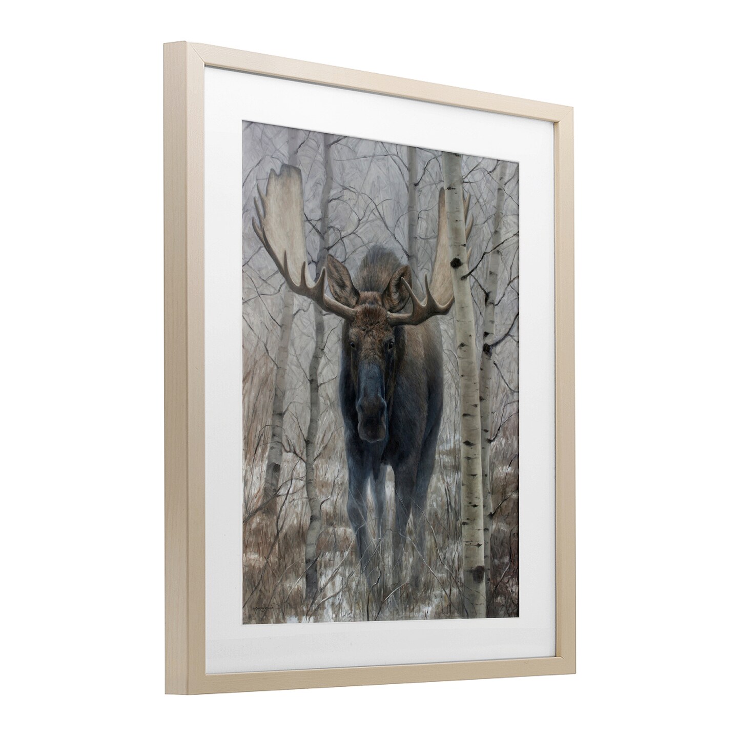 Stupell Industries Moose in Winter Birch Forest Framed Print Under Glass, design by James Corwin