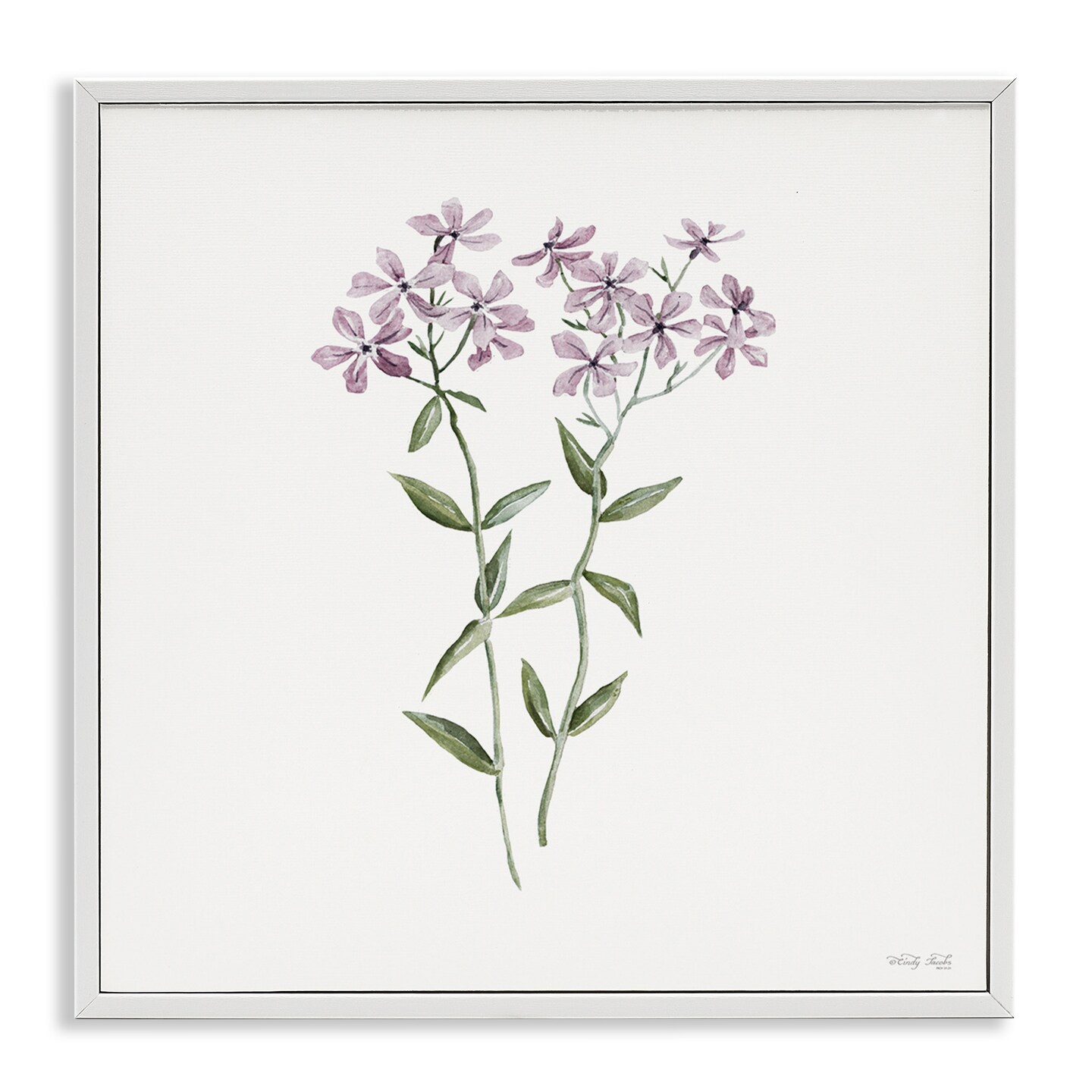 Stupell Industries Purple Phlox Botanical Framed Giclee, design by Cindy Jacobs