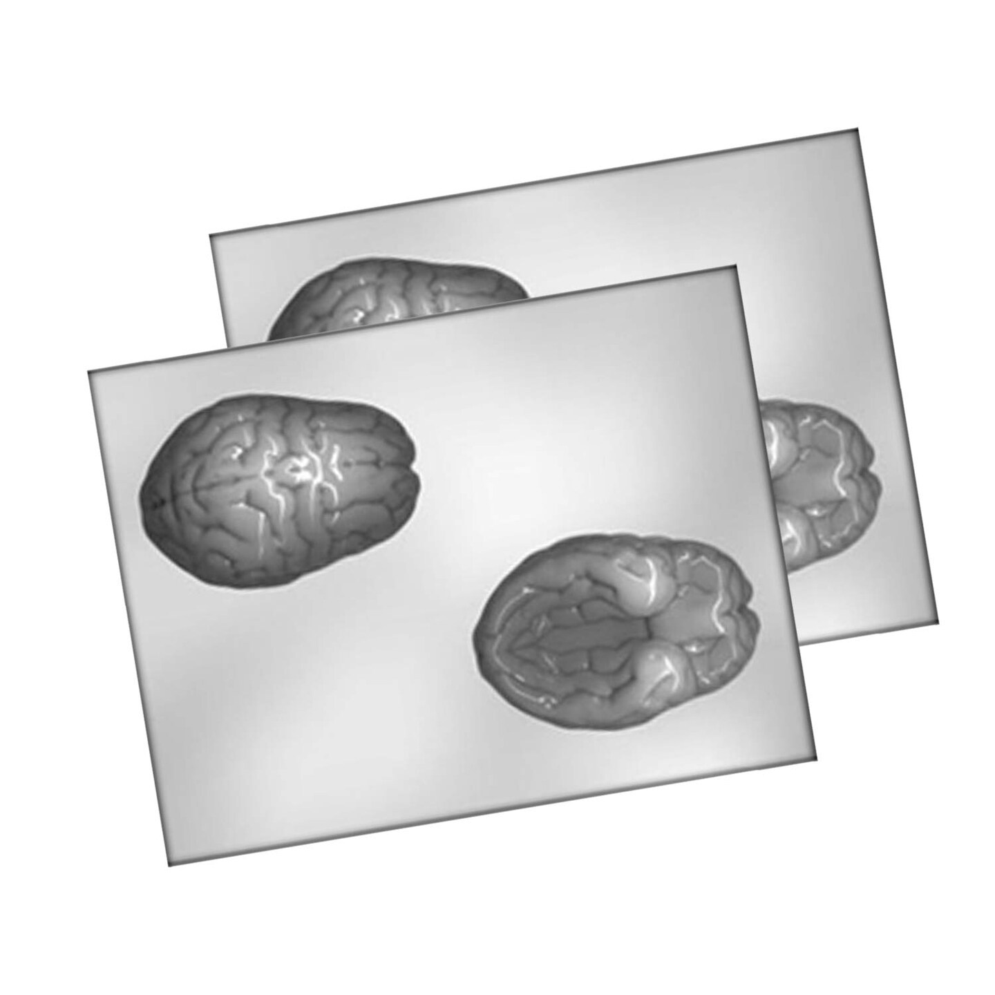 4&#x22; 3D Brain Mold