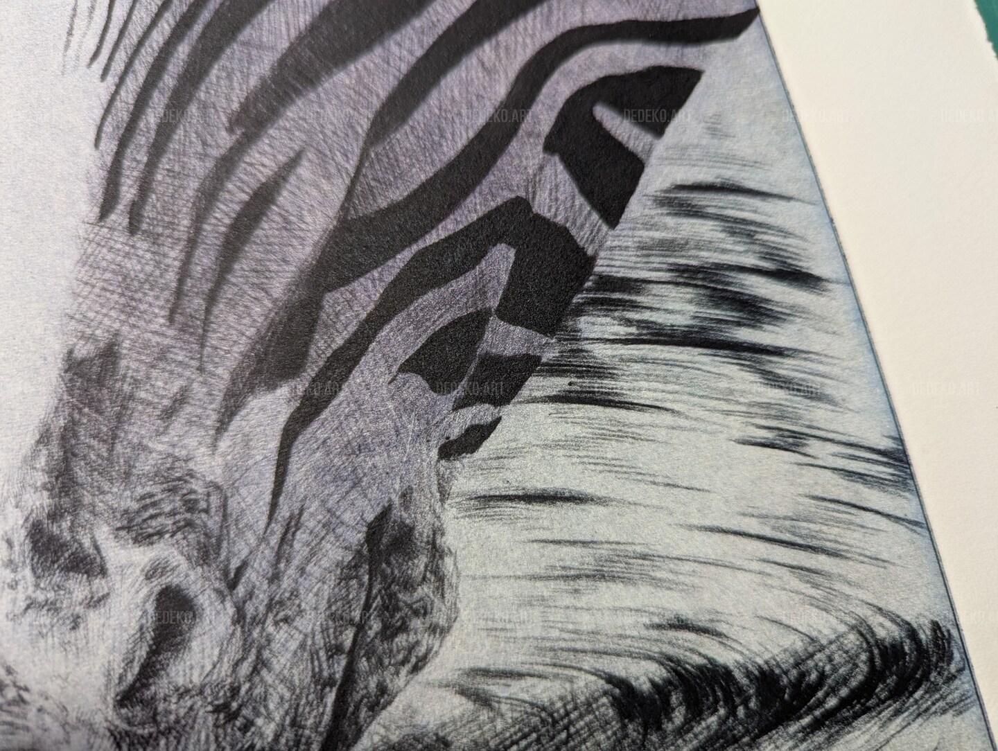 Original Intaglio Print – Purple and Blue Zebra Close-Up Drinking