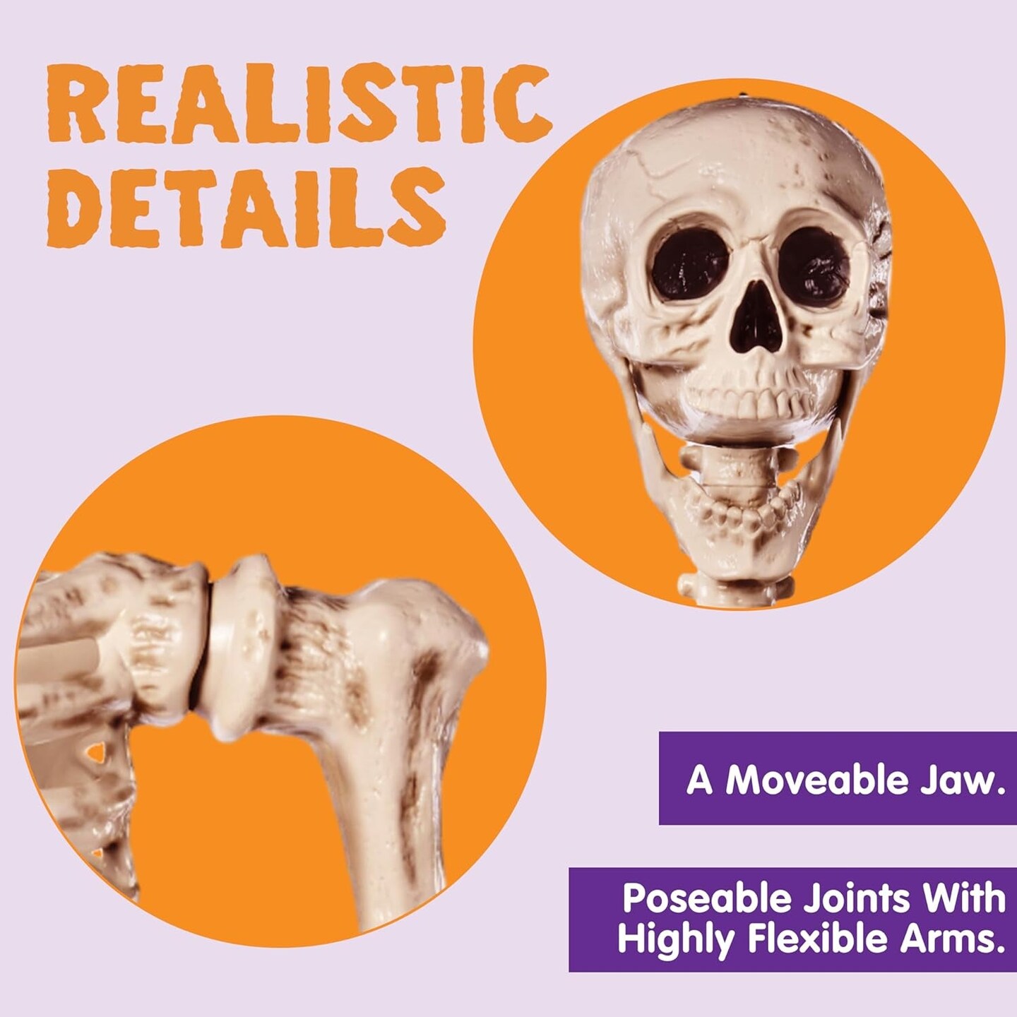 5.6 FT Life Size Skeleton