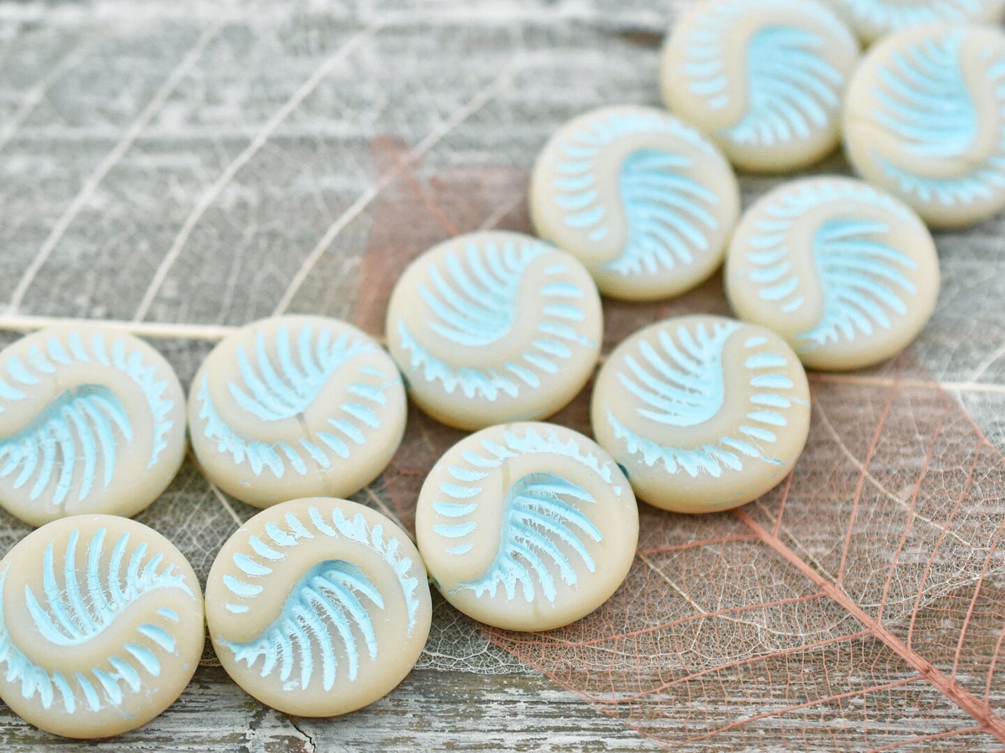 *6* 19mm Turquoise Washed Matte Eggshell Opal Fossil Coin Beads
