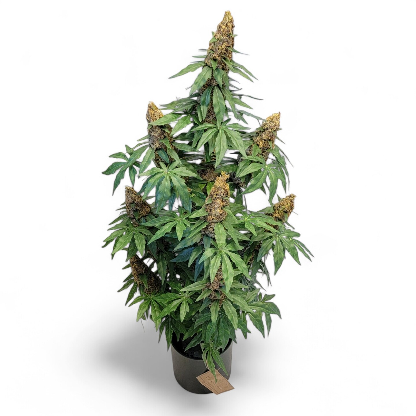 40" Artificial Marijuana Plant - Fake Weed Cannabis XXL (420) Decoration | FAUX-20