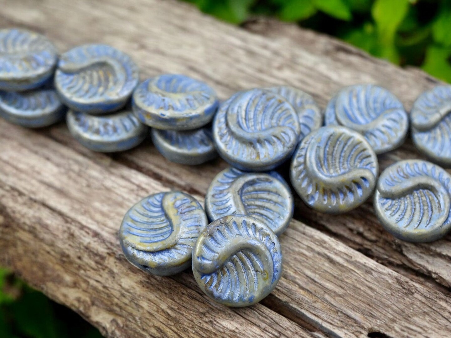 *6* 19mm Alabaster Celestial Blue Fossil Coin Beads