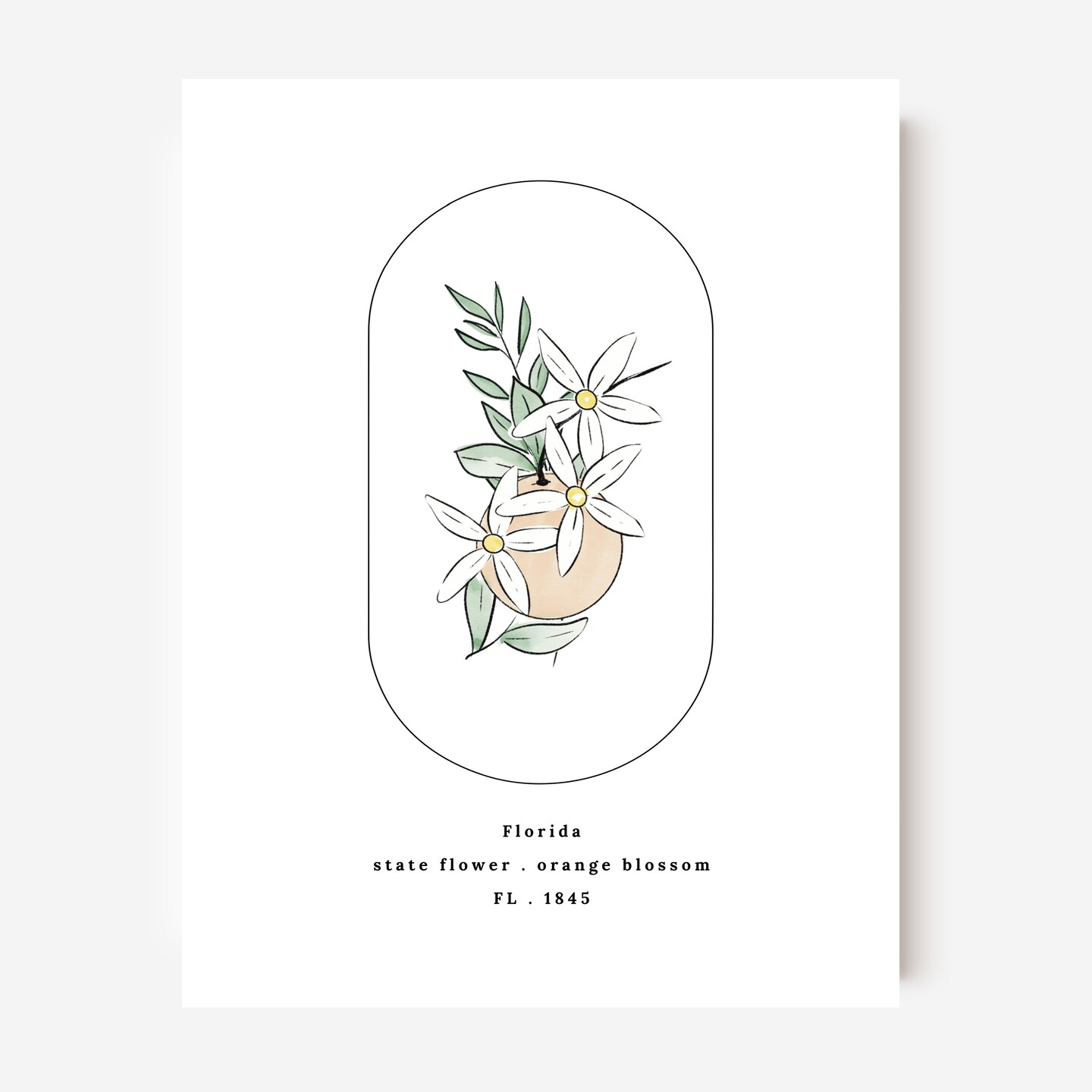 Florida State Flower Print | Unframed FL Orange Blossom USA State Illustrated Floral Art