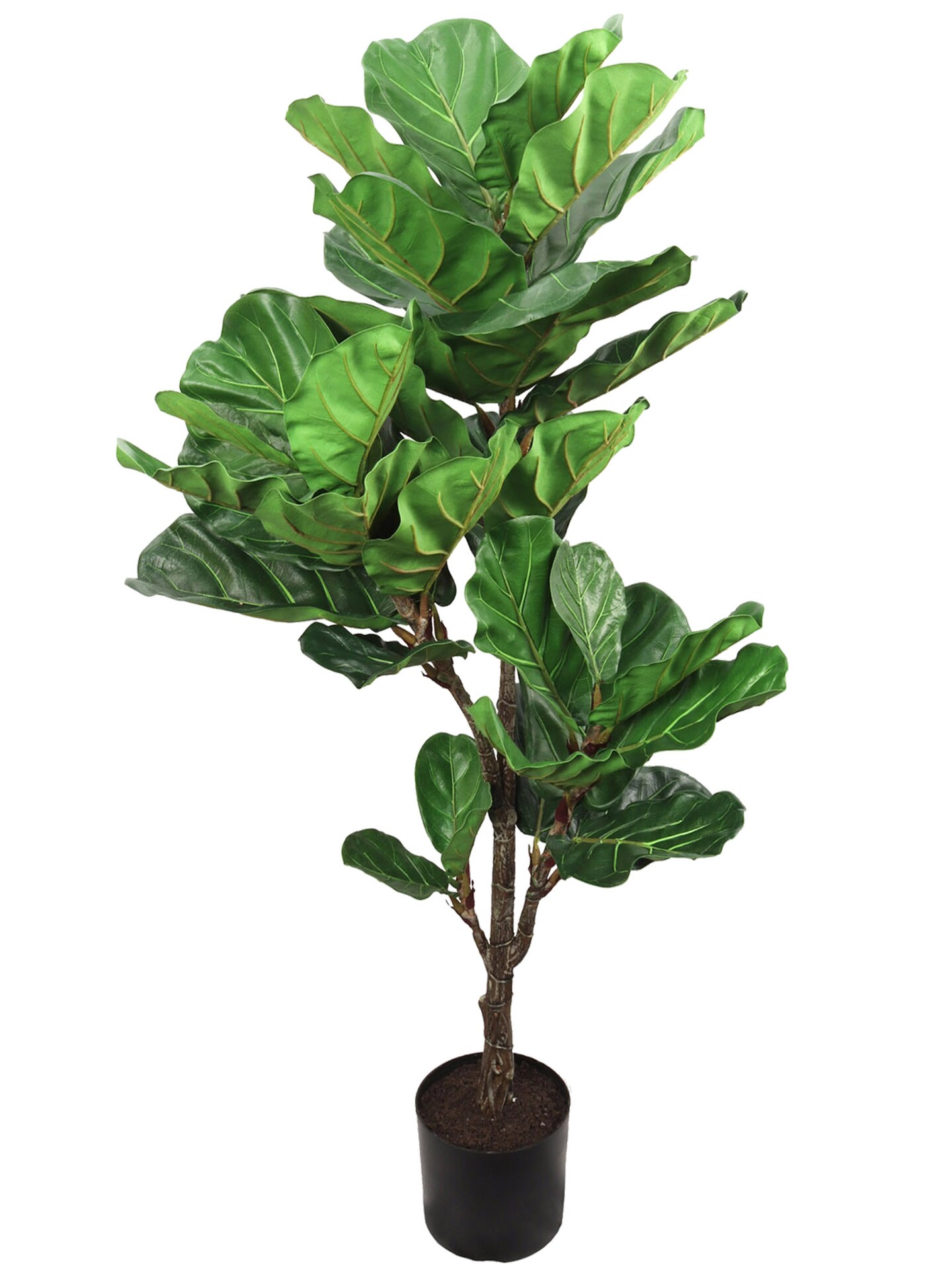 56" Artificial Fiddle Leaf Fig Tree in Pot - 1-Piece - Lifelike Indoor Decor for Home or Office, Floral Home by Artificial Flowers