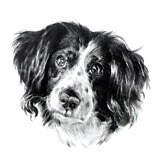 storefront avatar