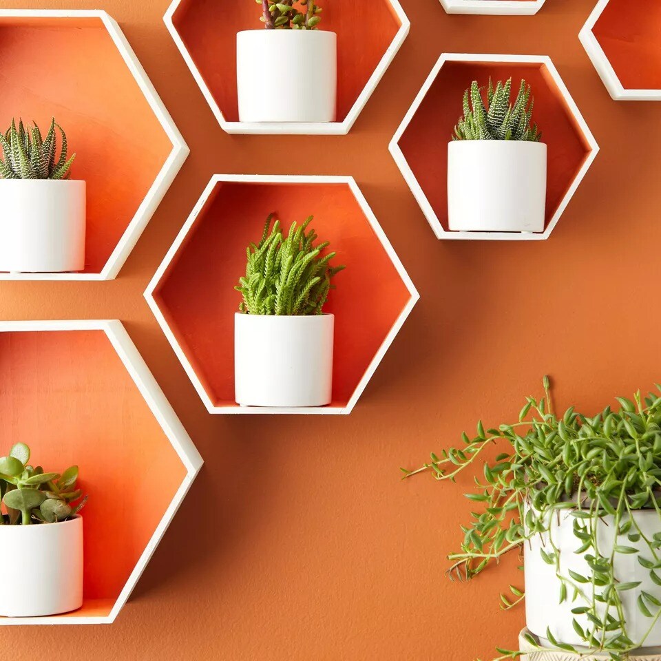 9 Pack Unfinished Hexagon Floating Shelves for Wall Mount Display DIY Home Decor