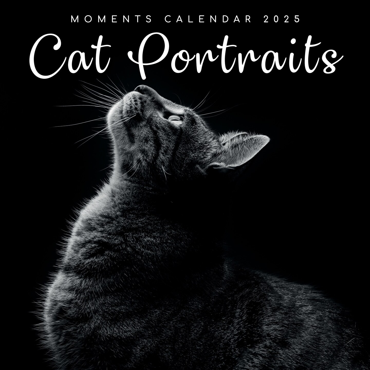 2025 Square Wall Calendar, Cat Portraits, 16-Month Black and White Photos with 180 Reminder Stickers (12 x 12 In)