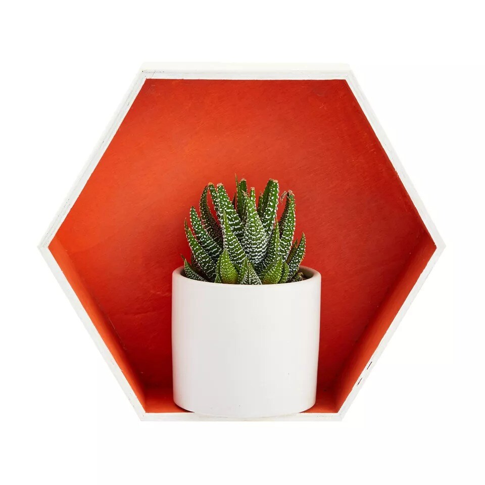 9 Pack Unfinished Hexagon Floating Shelves for Wall Mount Display DIY Home Decor