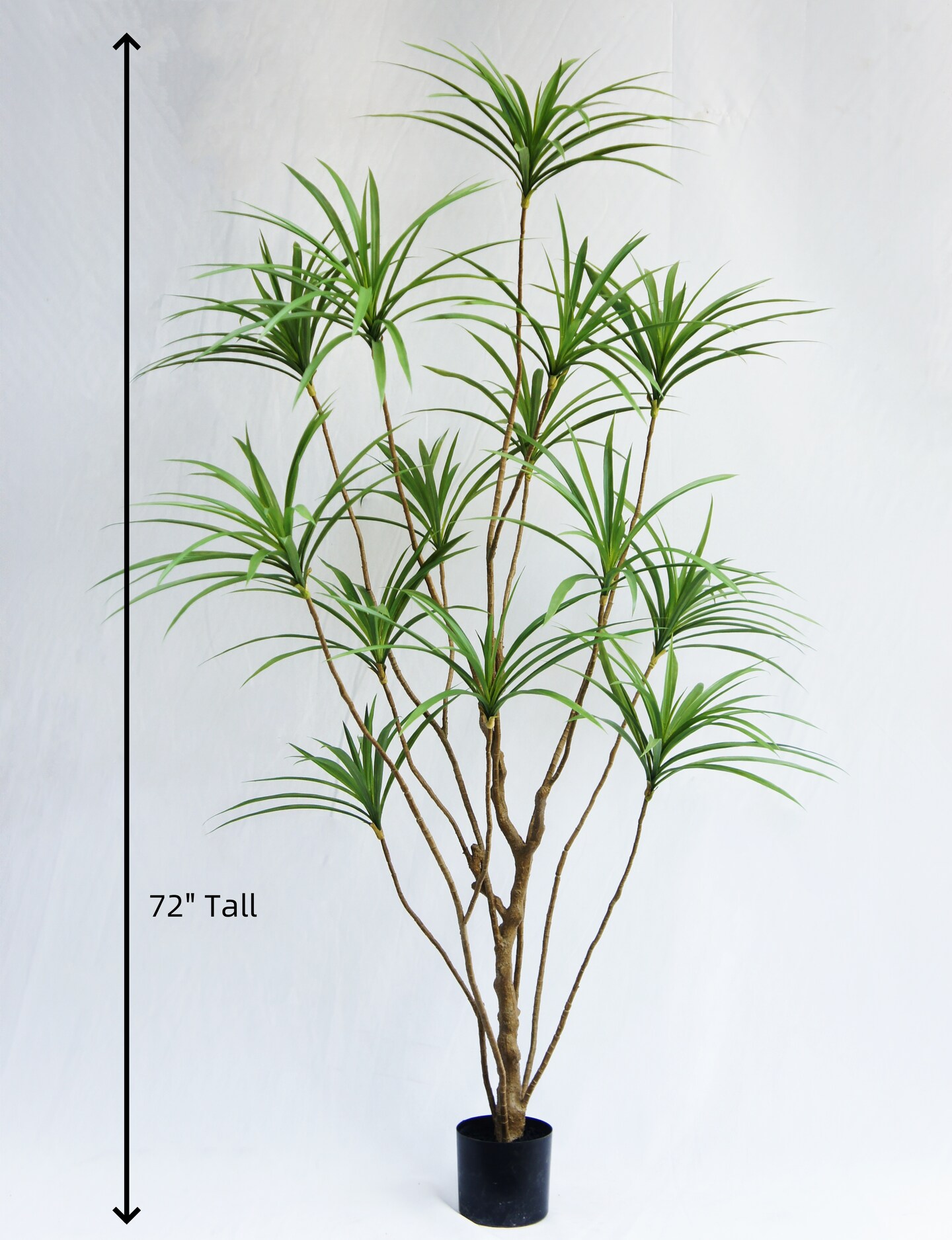 buy heartleaf philodendron Heartleaf Philodendron Houseplant with Planter - Medium (5"-8" tall) Lavender Planter