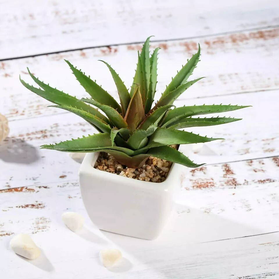 Green 3 Assorted 5&#x22; Faux Realistic Aloe Succulent Plants Off White Pots