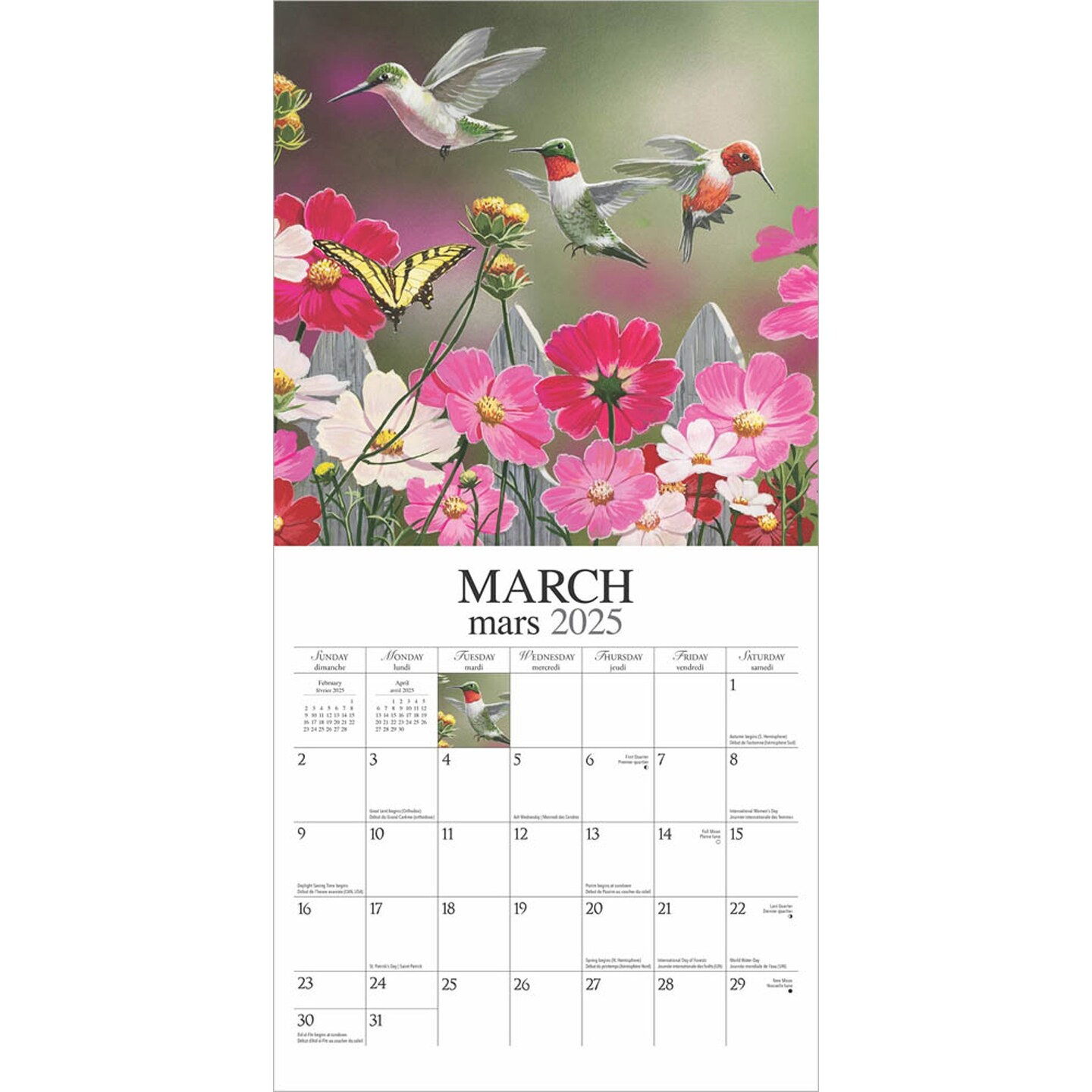 Feathered Friends | Amis a Plumes | 2025 12 x 24 Inch Monthly Square Wall Calendar | English/French Bilingual | Featuring the Artwork of William Vanderdasson | Hopper Studios | Wildlife Animals Birds