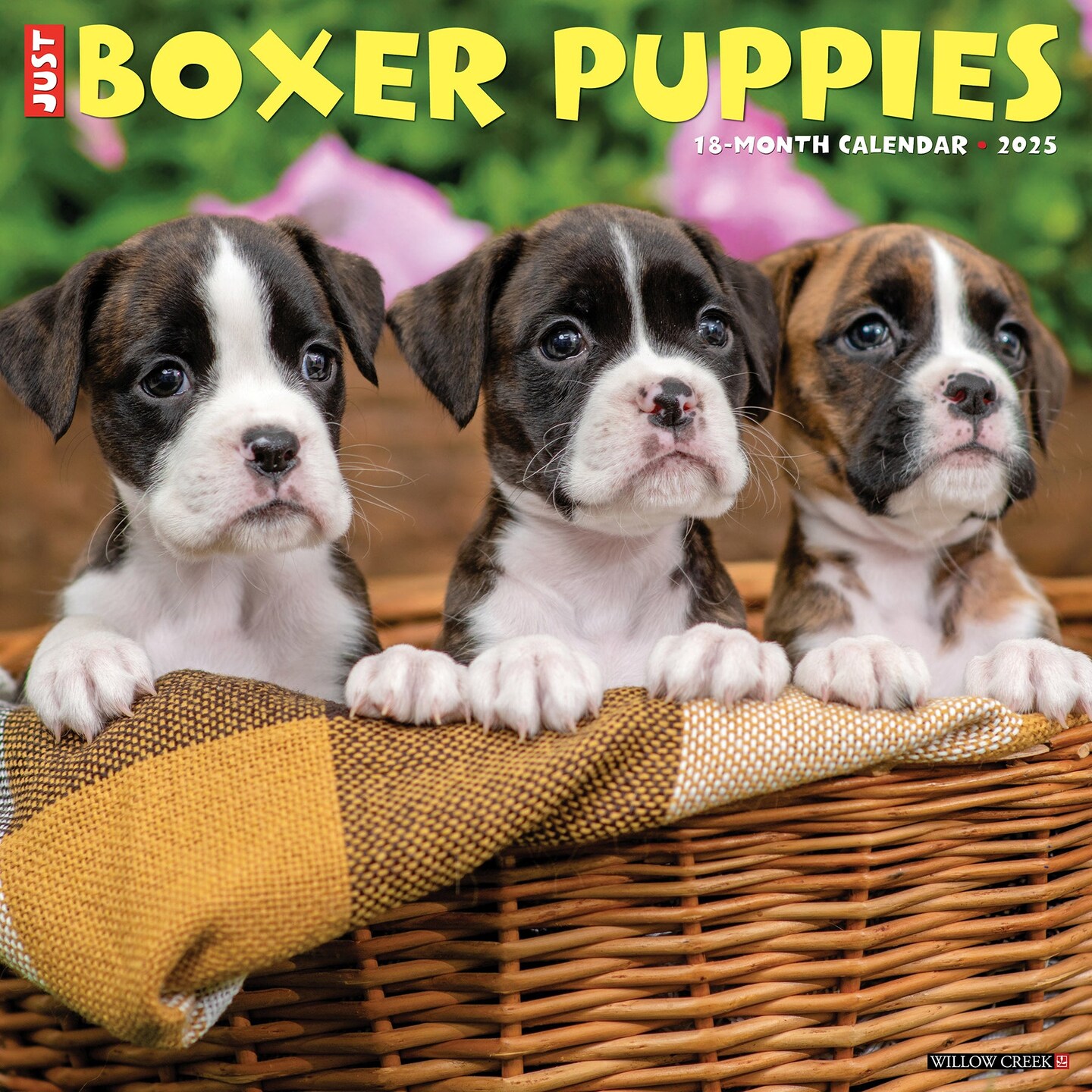 Boxer Puppies 2025 Wall Calendar