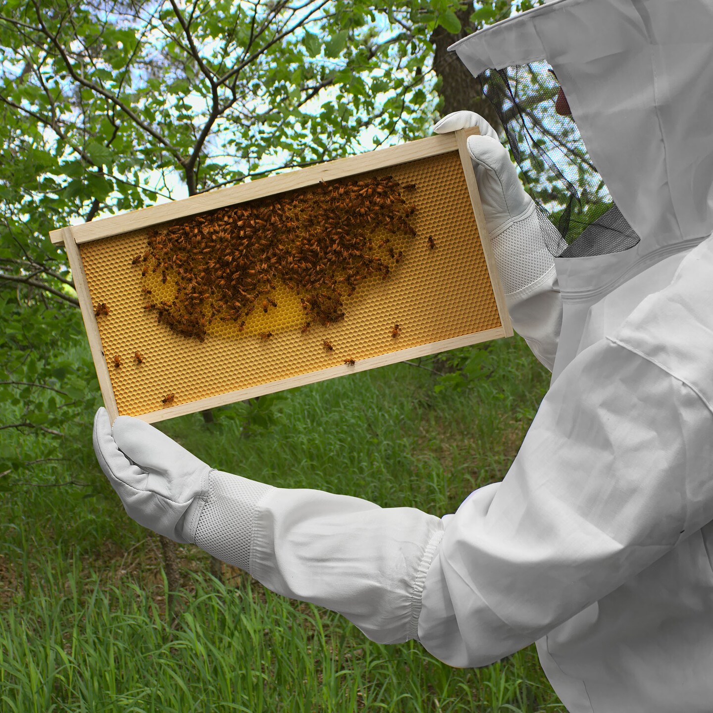 Honey Keeper Beekeeping Gloves - Goatskin Leather with Ventilated Canvas Sleeve and Elastic Cuff