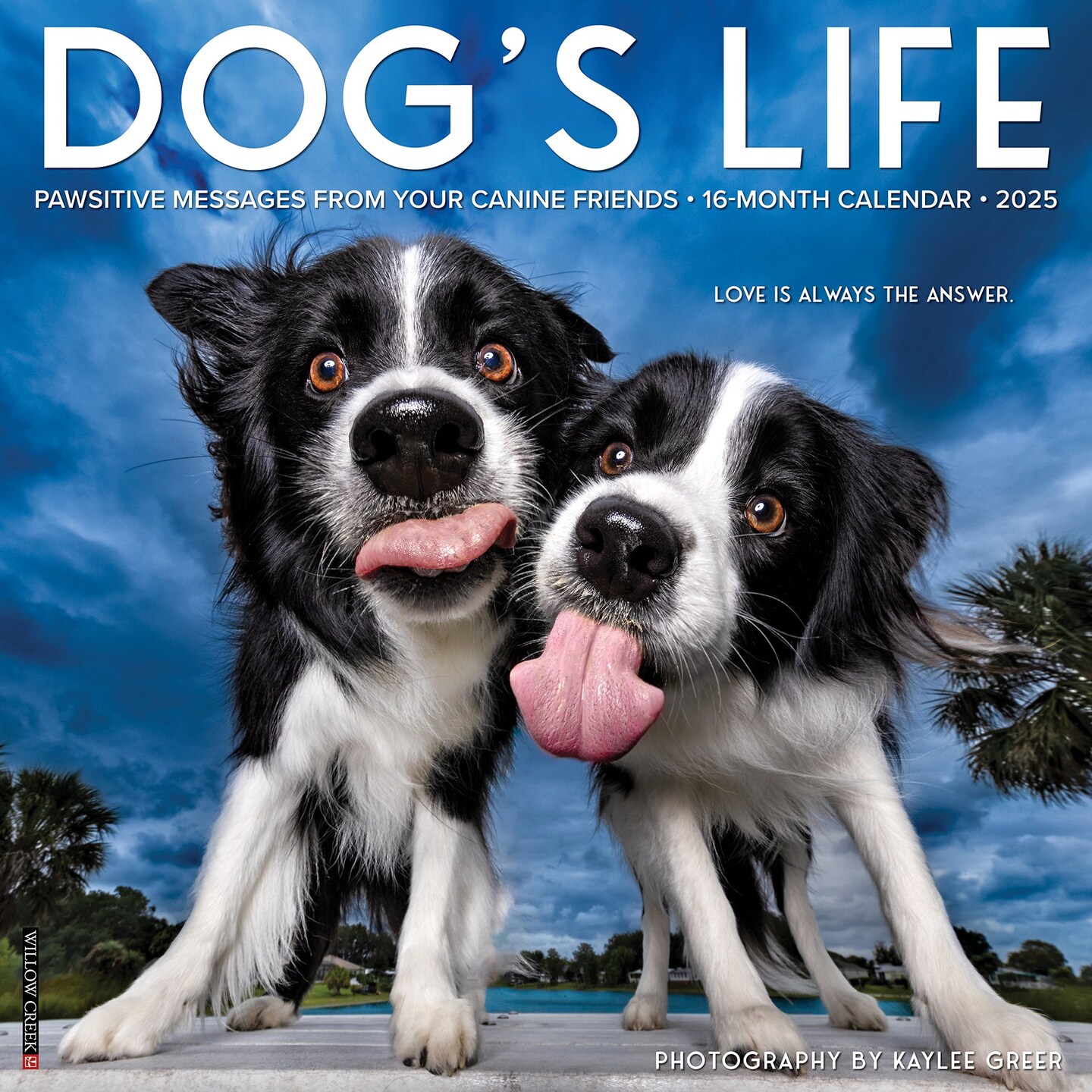 Dog&#x27;s Life 2025 Wall Calendar