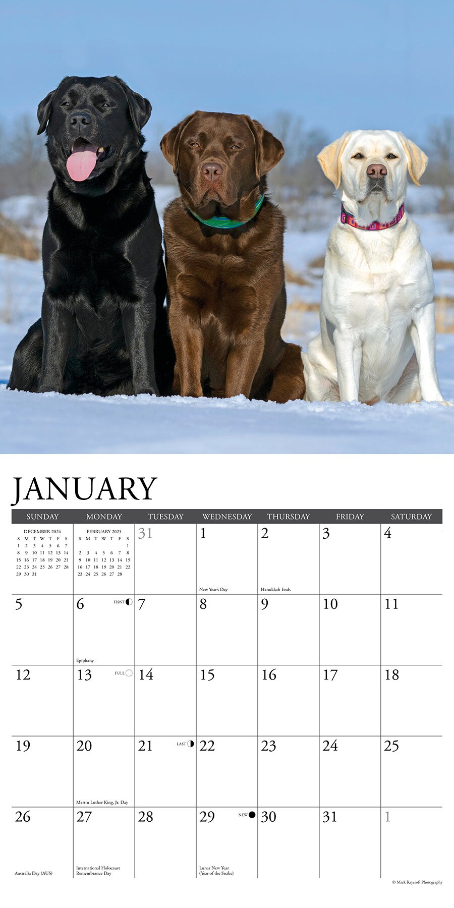 Labs 2025 Wall Calendar