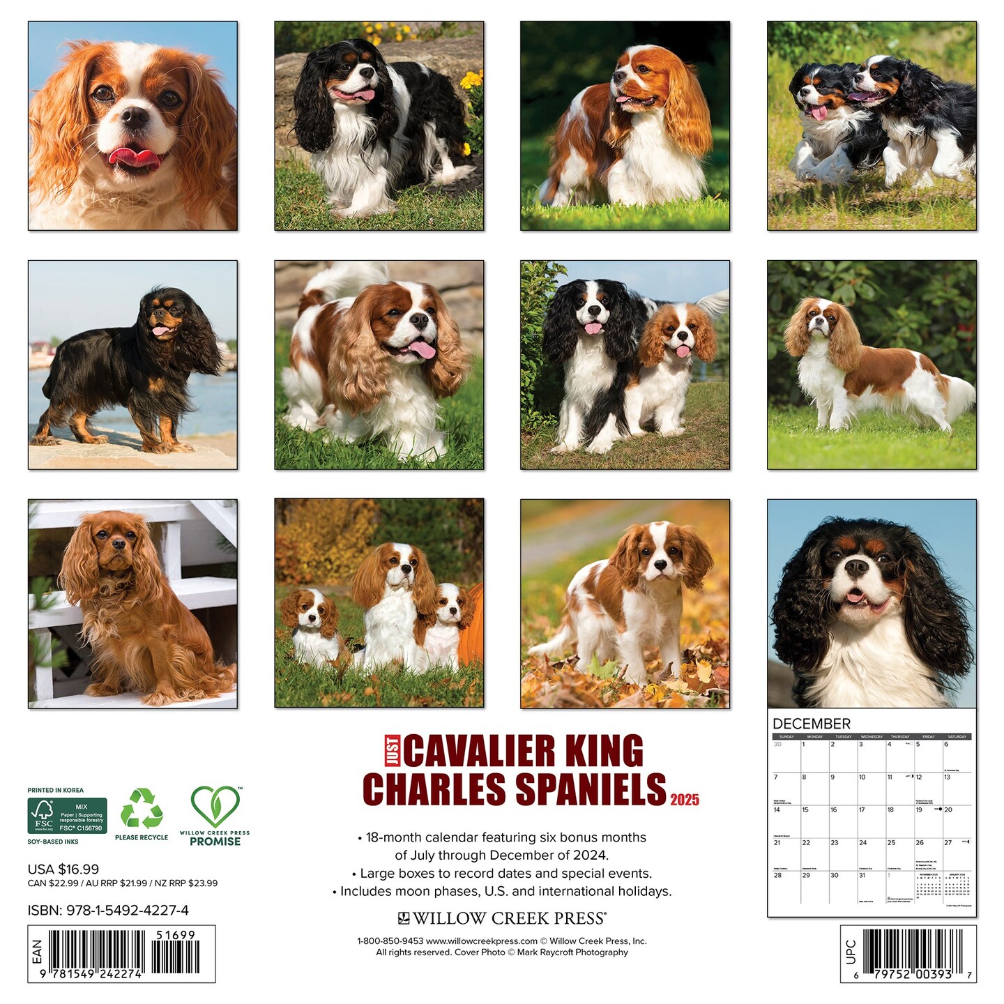 Cavalier King Charles Spaniels 2025 Wall Calendar