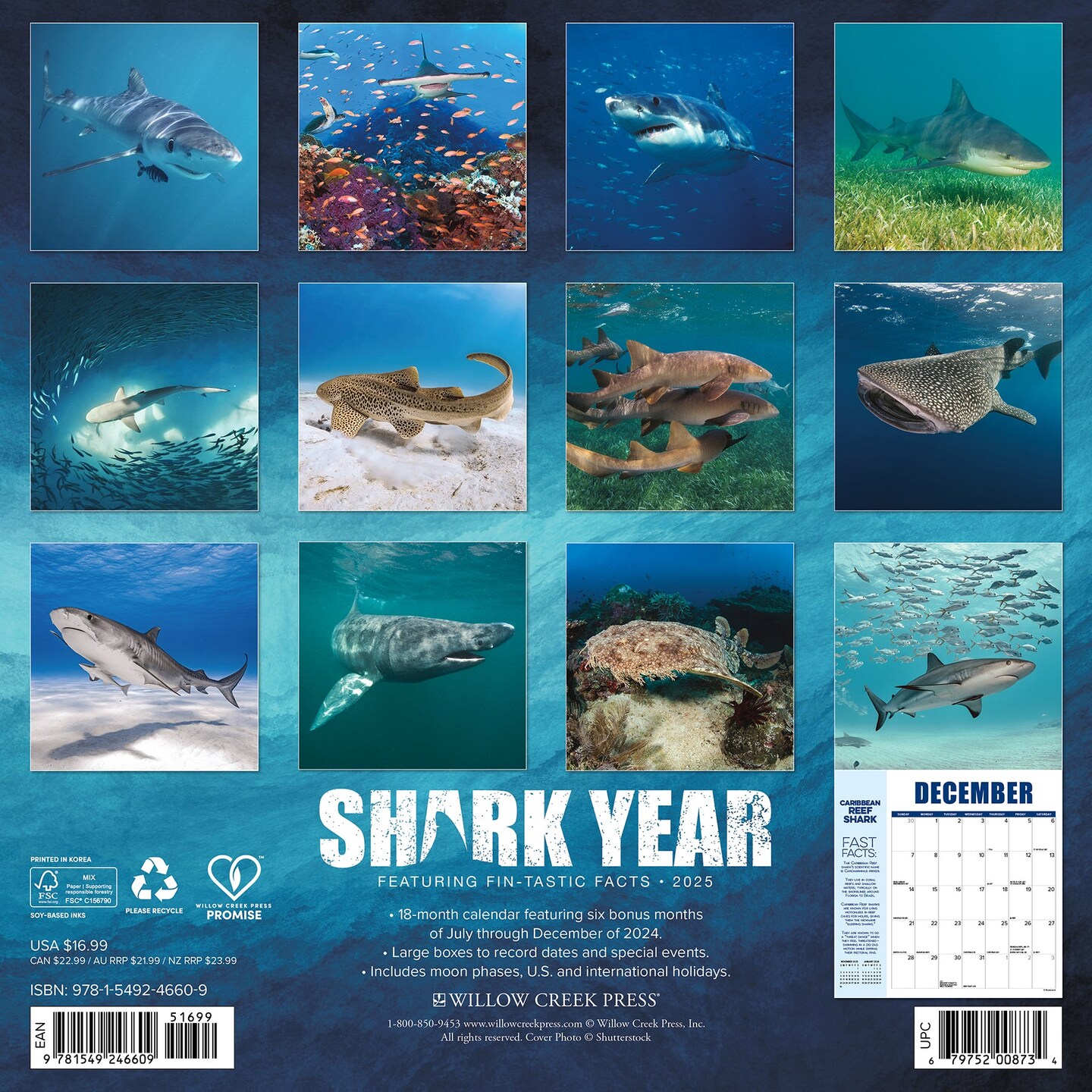Shark Year 2025 Wall Calendar