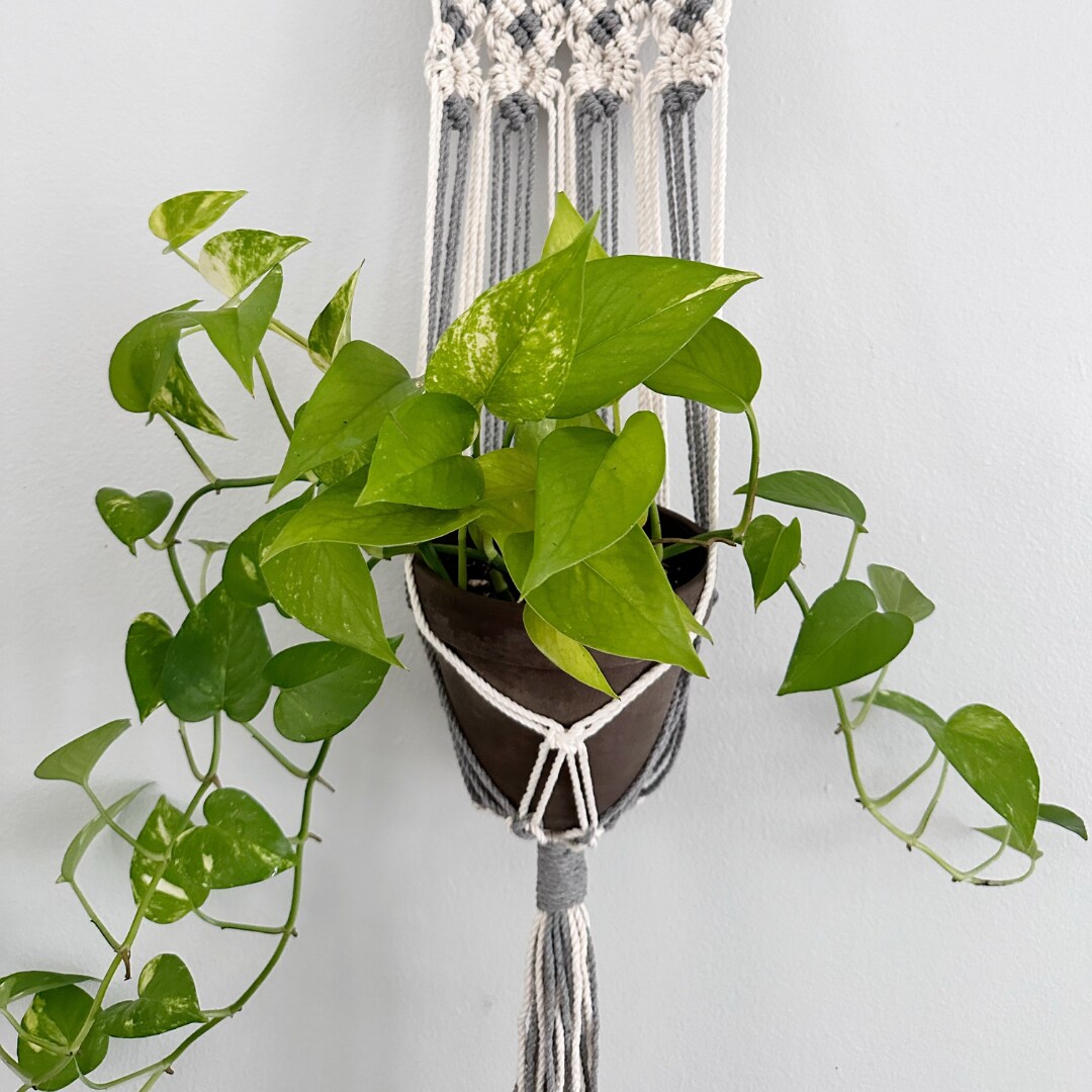 Macrame Plant Hanger, Plant Hanger home decor, Macrame Wall plant hanger,  Handmade plant hanger, Plant hanger indoor decor | MakerPlace by Michaels