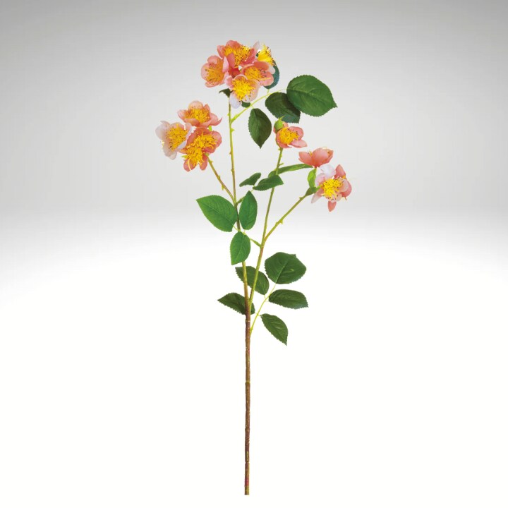 26&#x22; Wild Cottage Garden Rose Spray | Coral Faux Floral Stem