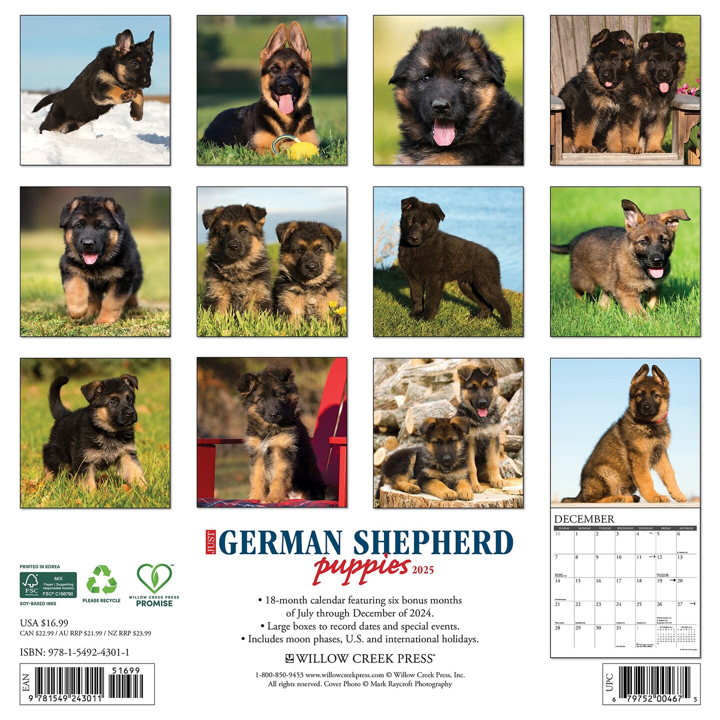 German Shepherd Puppies 2025 Wall Calendar