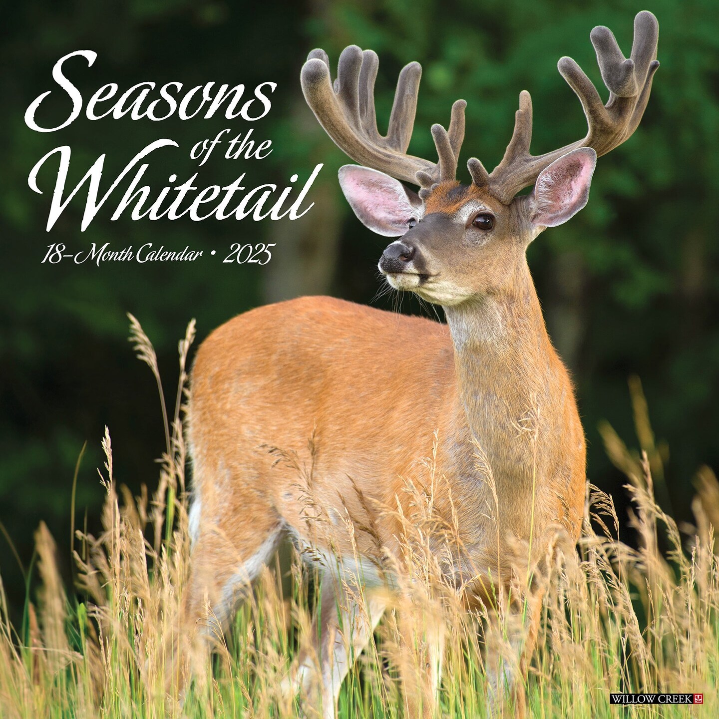 Seasons of the Whitetail (Deer) 2025 Wall Calendar