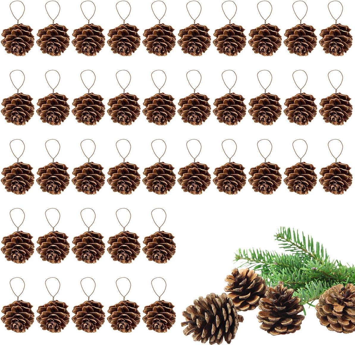 40 Pcs Natural Mini Christmas Pine Cones - Tiny Pinecones for Crafts, Bulk Pine Cones Ornaments with Strings