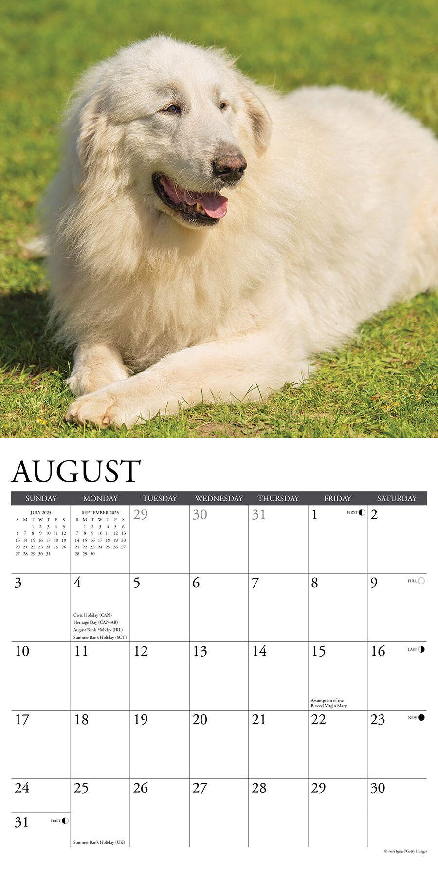 Great Pyrenees 2025 Wall Calendar