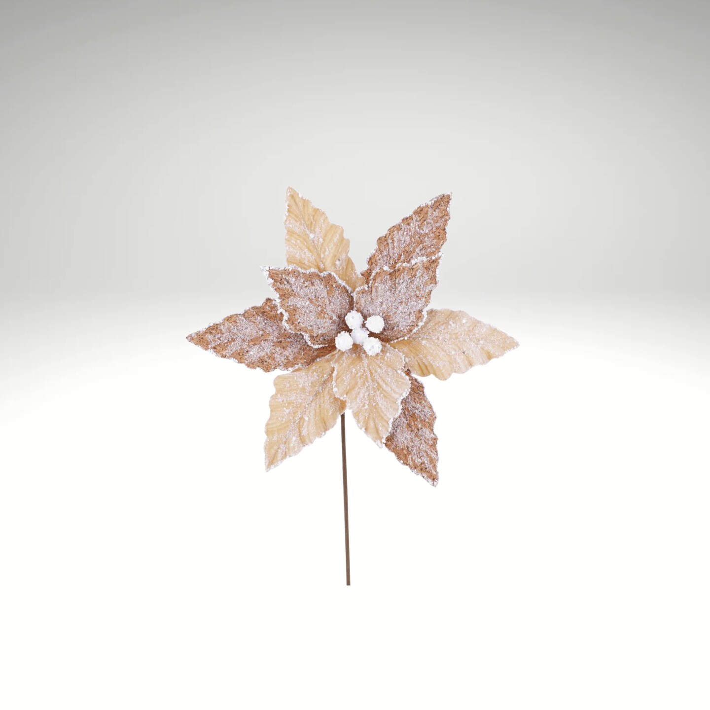 20&#x22;x12&#x22; Frosted Natural Poinsettia Stem &#x2013; Neutral Holiday Pick-253379