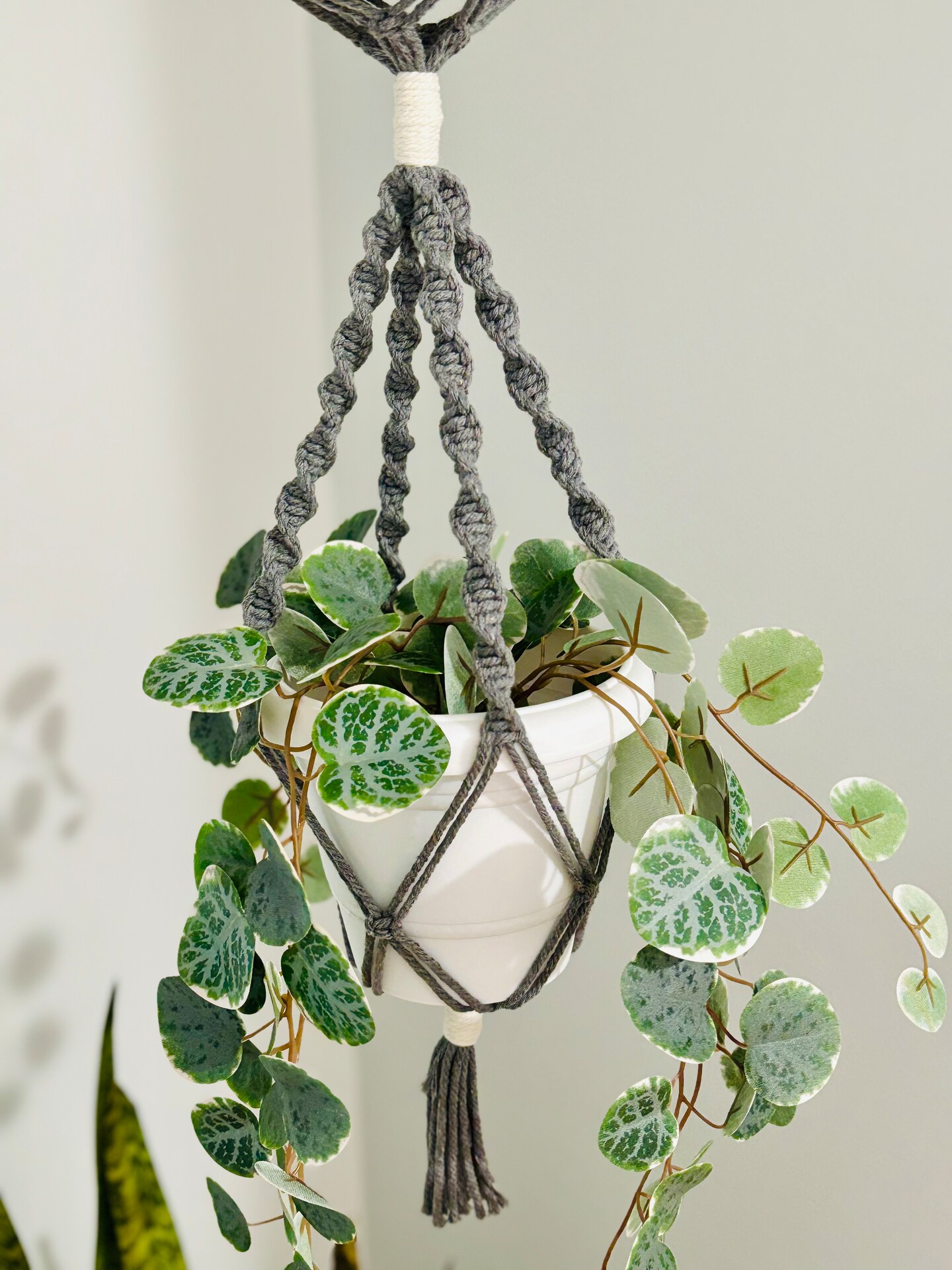 Double macrame plant hanger | MakerPlace by Michaels