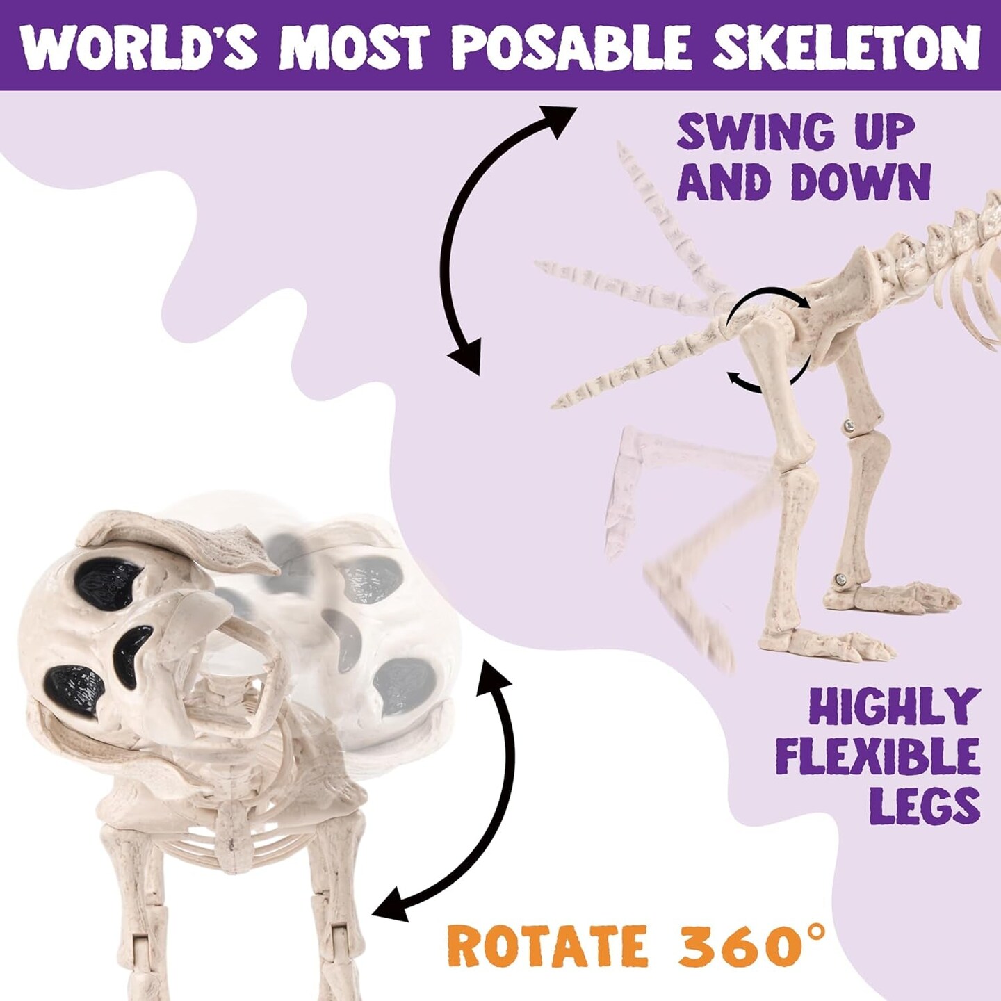 Halloween Dog Skeleton