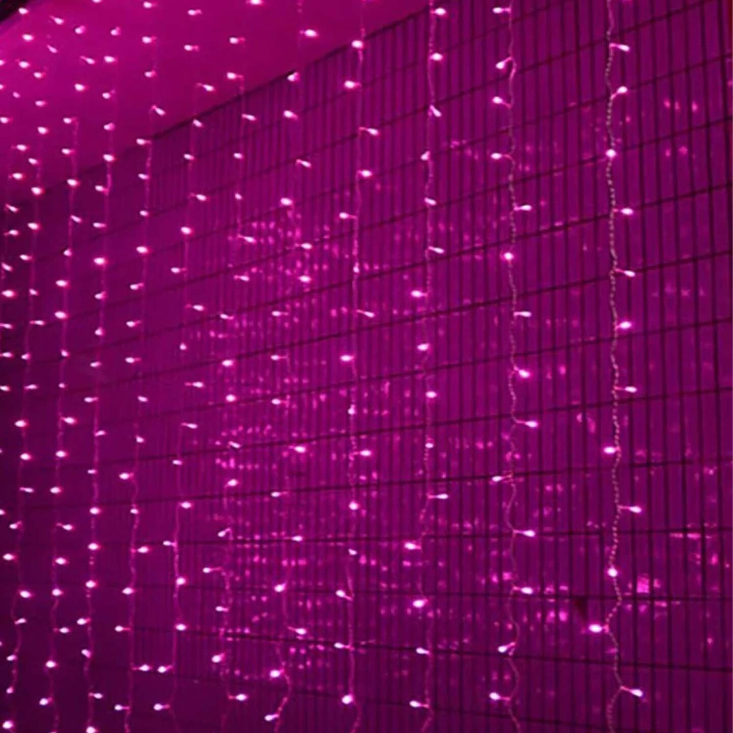 300 LED 12 Strand Twinkling Curtain Light Plug In for Christmas