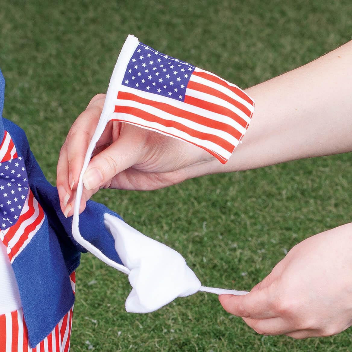 Traders Uncle Sam Goose Outfit