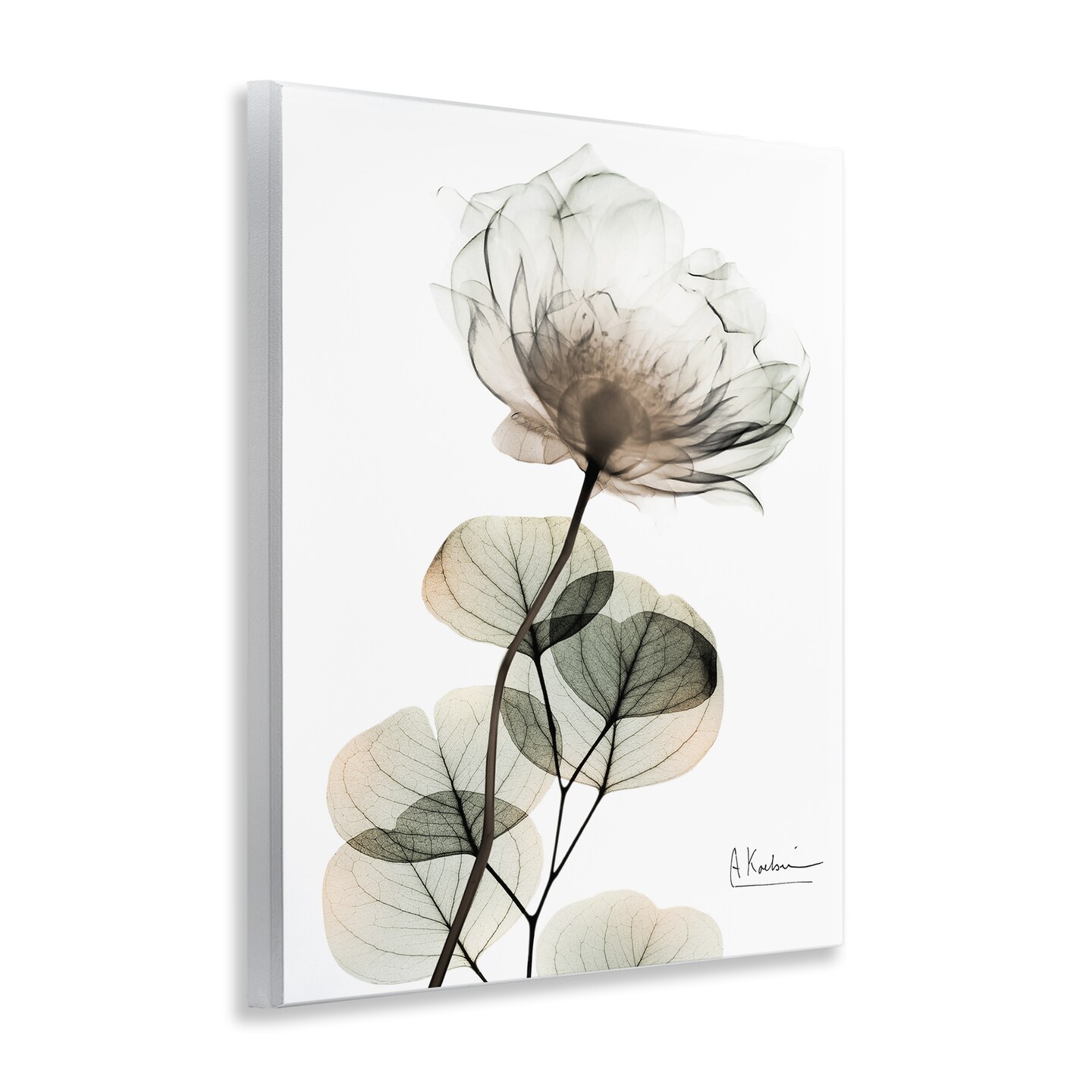 Stupell Industries Simple Elegant White Flower Wall Plaque Design by Albert Koetsier