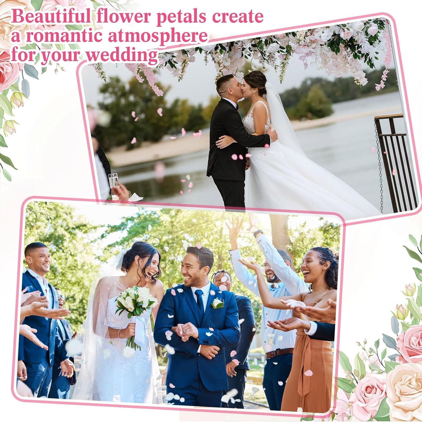 200 Pcs Real Dried Rose Petals for Wedding Flower to Throw