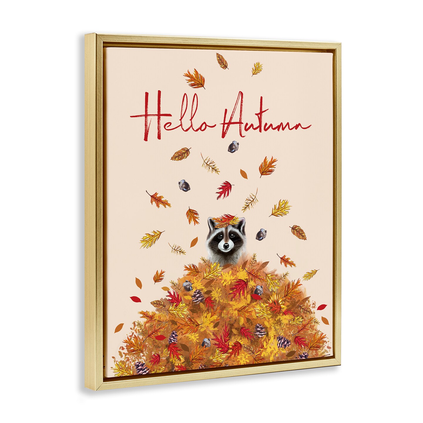 Stupell Industries Hello Autumn Raccoon Floating Frame Design by Elizabeth Tyndall