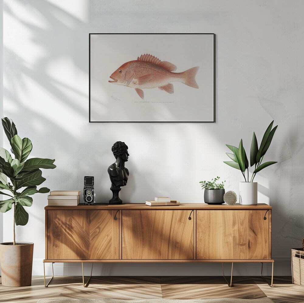 Red Snapper - Sherman F. Denton 24x36 Black Framed Art | Home or Office Art