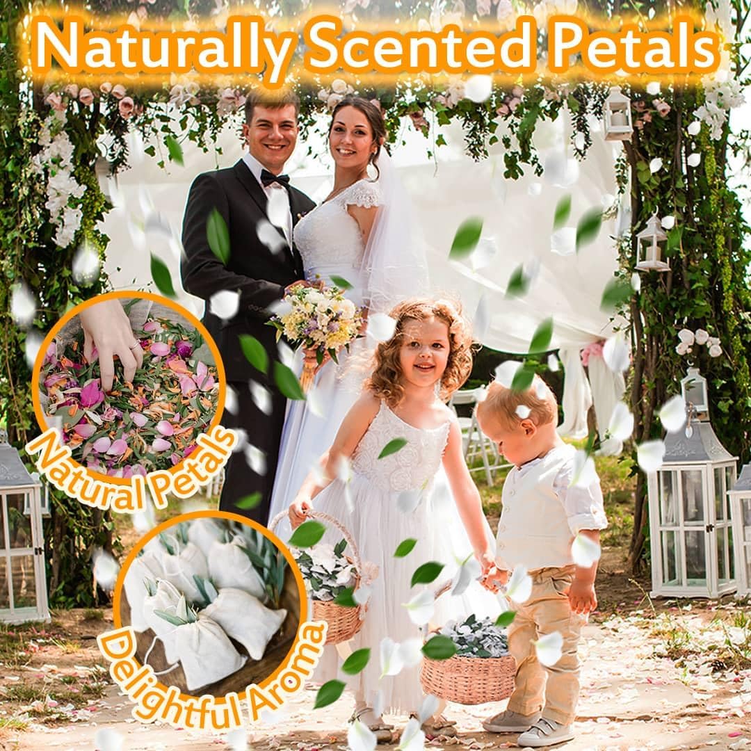 Real Dried Ivory White Hydrangea Flower &#x26; Eucalyptus Petals - 3000+ Natural Fragrant Confetti for Wedding, Flower Girl Baskets, Aisle Decor, Scented Sachets, Spring Potpourri Bags, Air Freshener