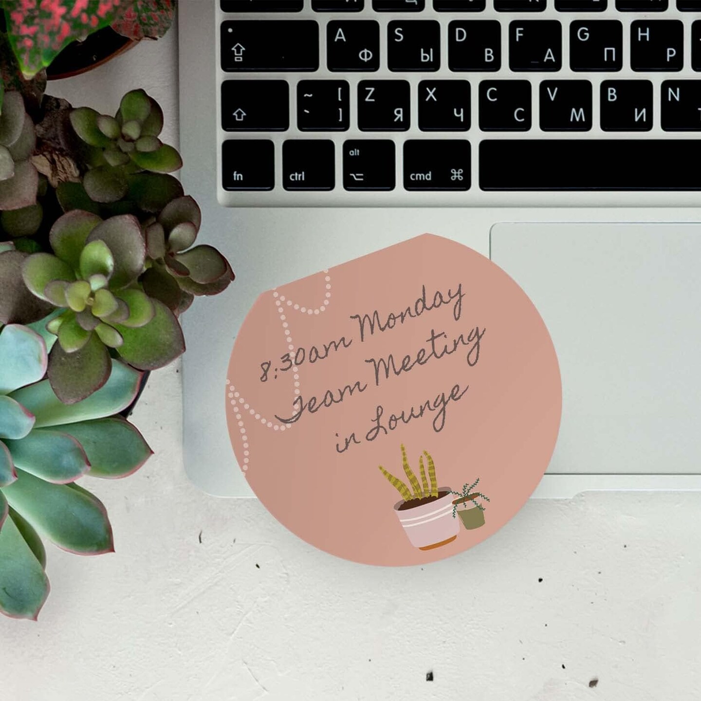 Plant Theme Sticky Note Pad Assortment/Set of 3 Round Flat Top Plant Lady Note Pads / Succulent Sticky Notes / 50 Sheets Per Pad