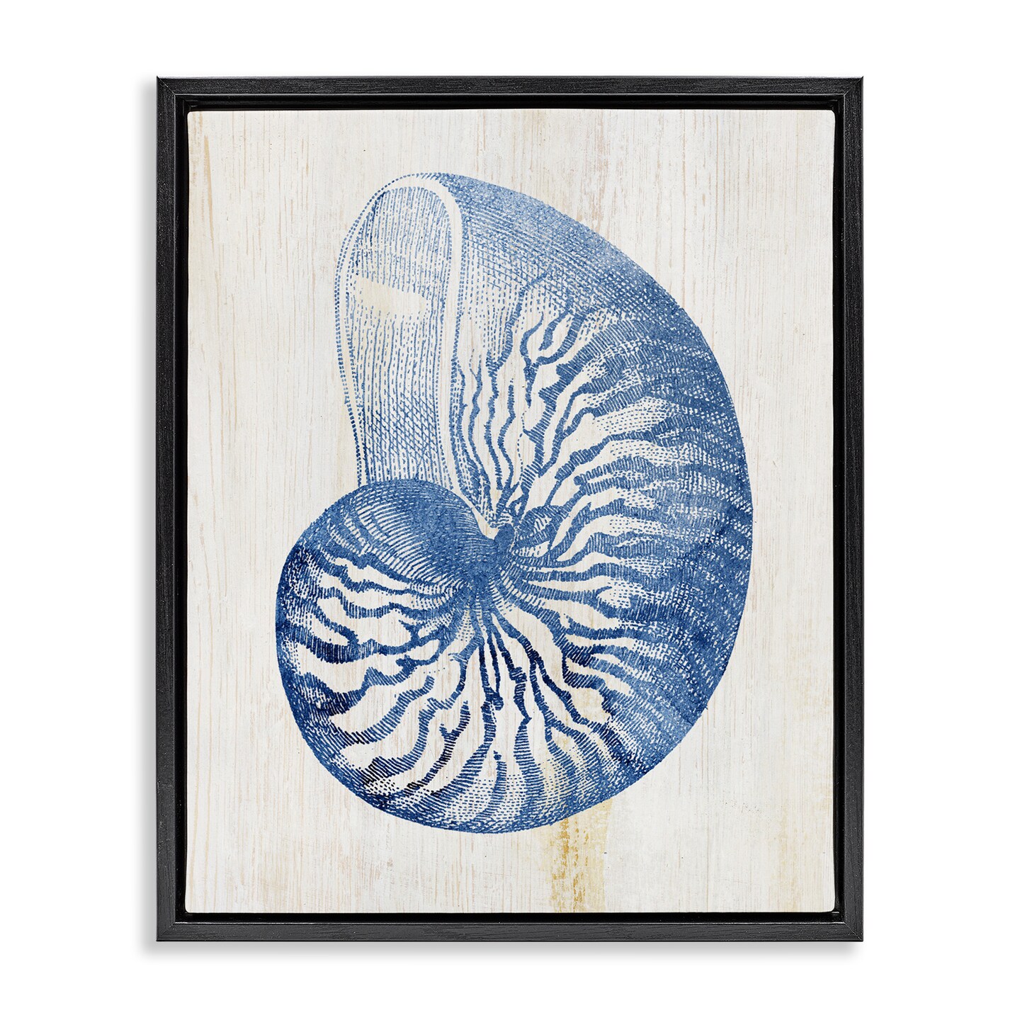 Stupell Industries Blue Nautilus Shell Floating Frame Design by Susan Arnot