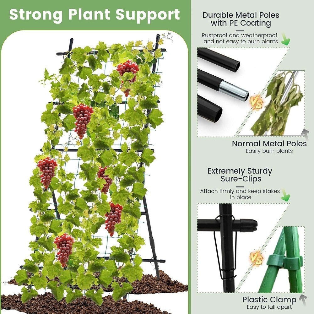 74&#x22; Cucumber Plant Support with A-Frame &#x26; Net
