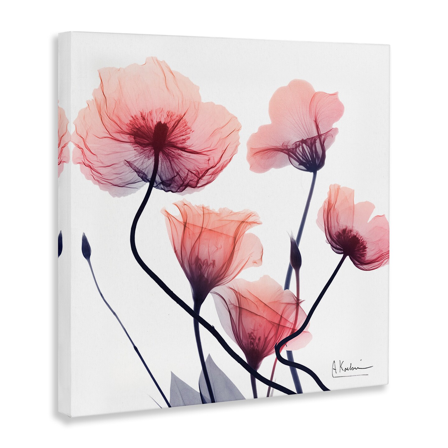 Stupell Industries Pink Chic Simple Flowers Canvas Design by Albert Koetsier