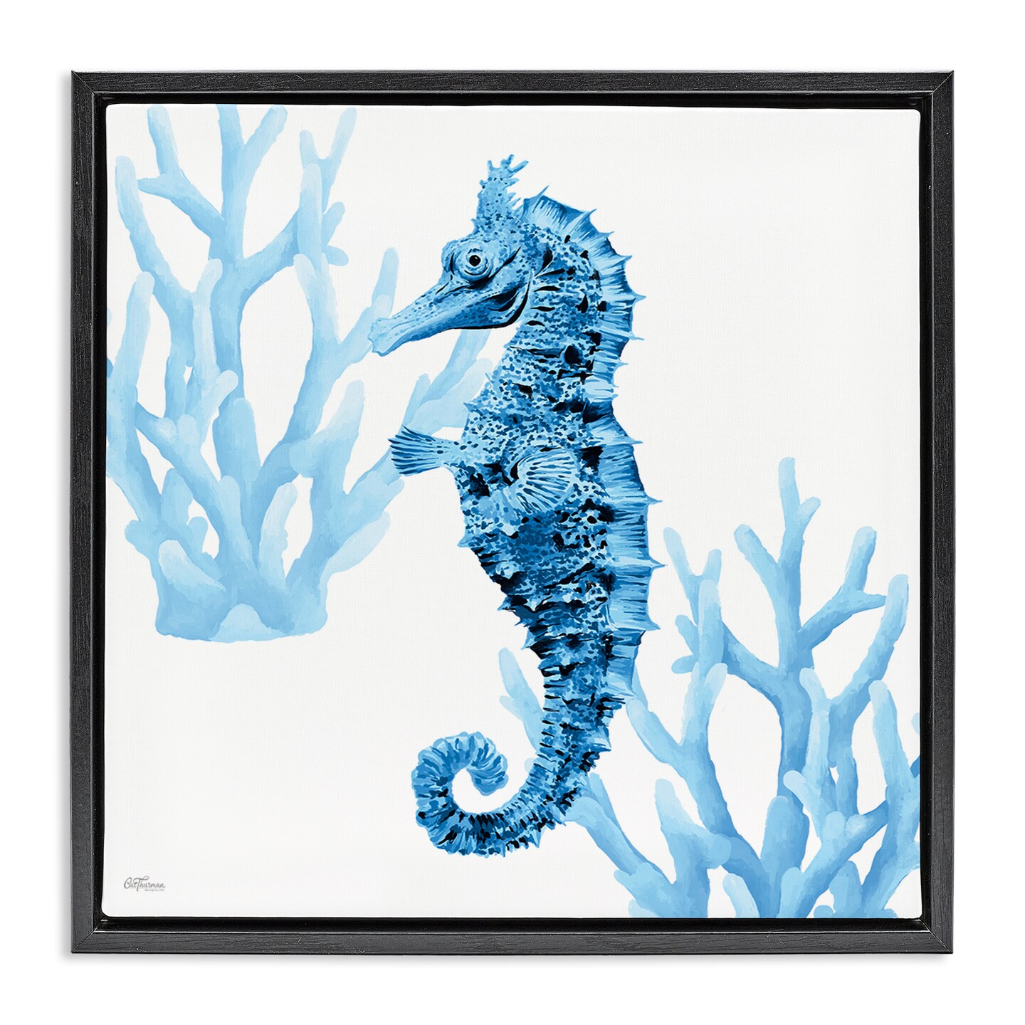 Stupell Industries Blue Tone Seahorse & Coral Floating Frame Design by Cat Thurman Designs
