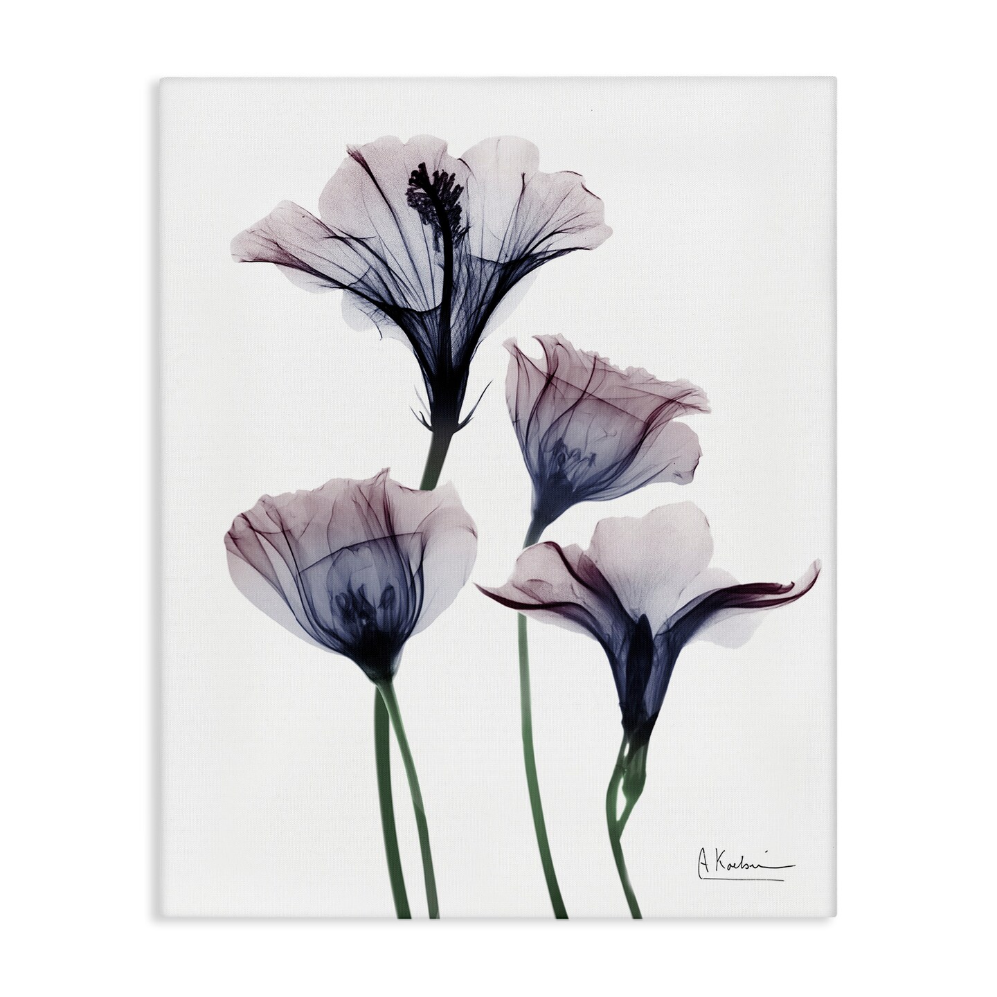 Stupell Industries Bountiful Dusk Flowers Canvas Design by Albert Koetsier